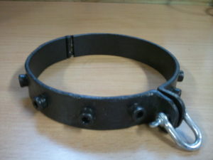 collare sessilario Collare